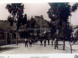 Mula Antigua serie-2